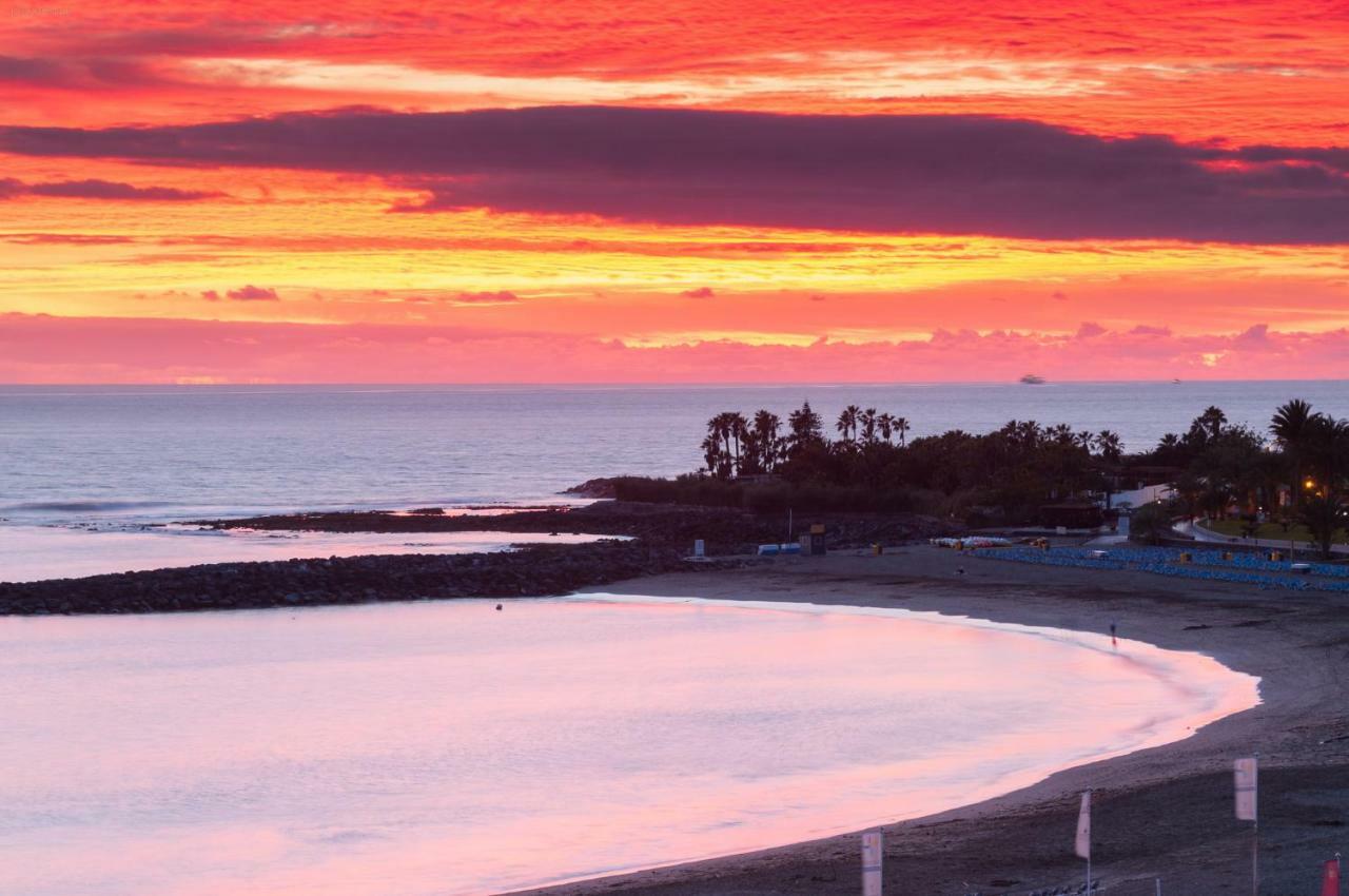 Amazing Beach Views Tenerife アロナ エクステリア 写真